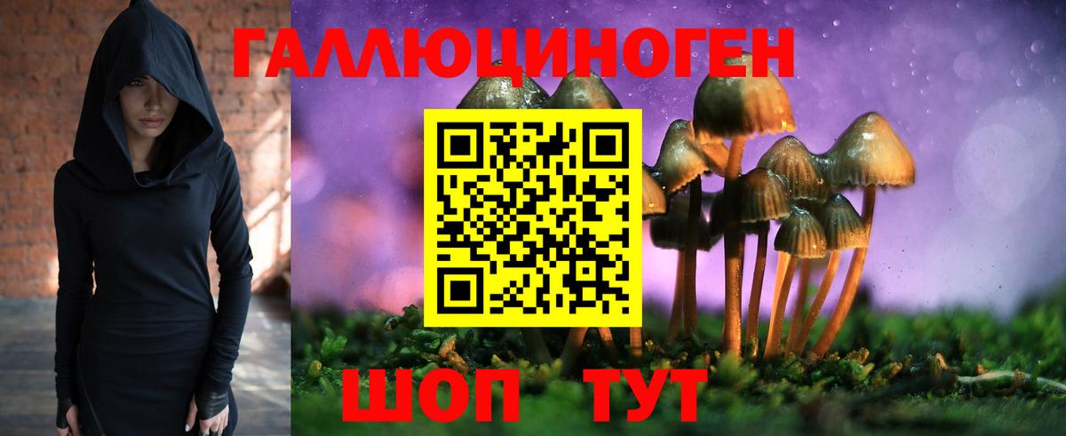 Псилоцибиновые грибы Magic Shrooms Киров